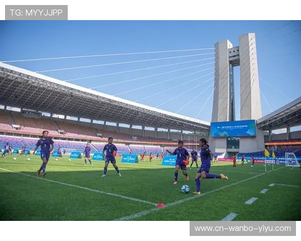 广东省足球赛事全景解析及青训联赛发展趋势研究报告