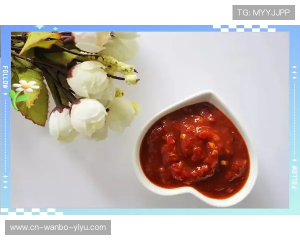 云达不来梅主场周边景点交通美食全方位指南